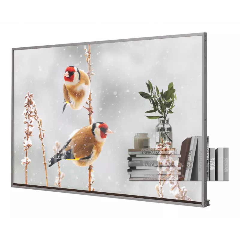 LG 55EW5P-M Signage Display 139,7 cm (55 inch) OLED 600 cd/m² Full HD zilver touchscreen 18/7