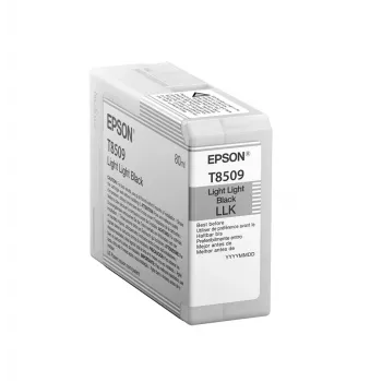 Epson losse cartridge licht-lichtzwart T850900, licht-lichtzwart, pigmentinkt, 80 ml, 1 stuk