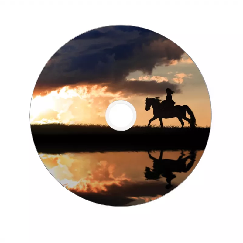 Verbatim 43667 blanco DVD 8,5 GB DVD+R DL 25 st.