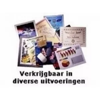 GBC Lamineerhoesjes A4 mat 125 micron, mat, A4, 216 mm, 0,25 mm, 303 mm, 100 stuks