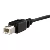 StarTech.com 1 ft panel mount USB-kabel B naar B – V/M, 0,3 m, USB B, USB B, USB 2.0, 0,48 Gbit/s, zwart