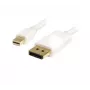 StarTech.com 2m (6ft) Mini DisplayPort naar DisplayPort 1.2-kabel - 4K x 2K UHD Mini DisplayPort naar DisplayPort-adapterkabel - Mini DP naar DP-kabel voor monitor - mDP naar DP-converterkabel