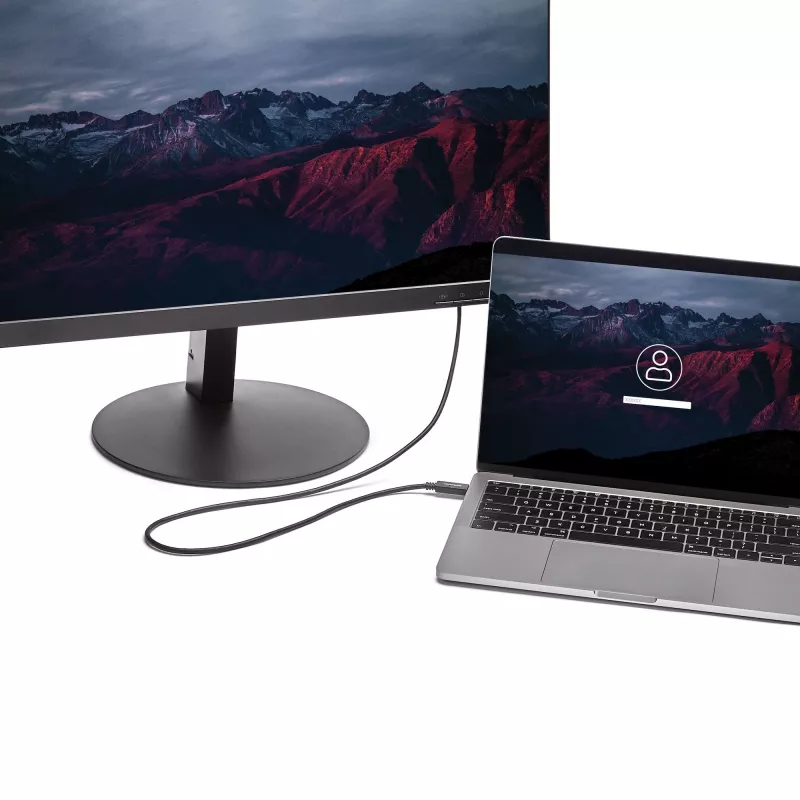StarTech.com 2 m USB-C-naar-DVI-kabel – 1920 x 1200 – zwart