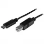 StarTech.com USB-C naar USB-B-kabel - M/M - 2 m (6 ft.) - USB 2.0