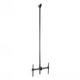 StarTech.com tv-plafondsteun – volledig beweegbare universele ophangbeugel voor één scherm met verstelbare telescoop-langmast – kantelen / zwenken – VESA-steun voor 32 inch-75 inch displays