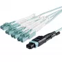 StarTech.com 10m (30ft) MTP(F)/PC naar 4x LC/PC duplex breakout OM3 multimode glasvezelkabel, OFNP Plenum, 40G netwerken, lage invoegverliezen - glasvezel jumperkabel