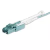 StarTech.com 10m (30ft) MTP(F)/PC naar 4x LC/PC duplex breakout OM3 multimode glasvezelkabel, OFNP Plenum, 40G netwerken, lage invoegverliezen - glasvezel jumperkabel