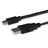 StarTech.com Mini DisplayPort naar Dual-Link DVI-adapter - USB-gevoed - zwart