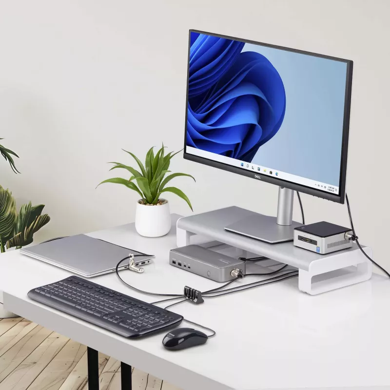 StarTech.com randapparatuur-kabelankerslot, beveilig toetsenbord/muis, kabelslot voor gedeelde kantoren/openbare computers, kabelval compatibel met laptop-beveiligingskabel/hangslot – TAA