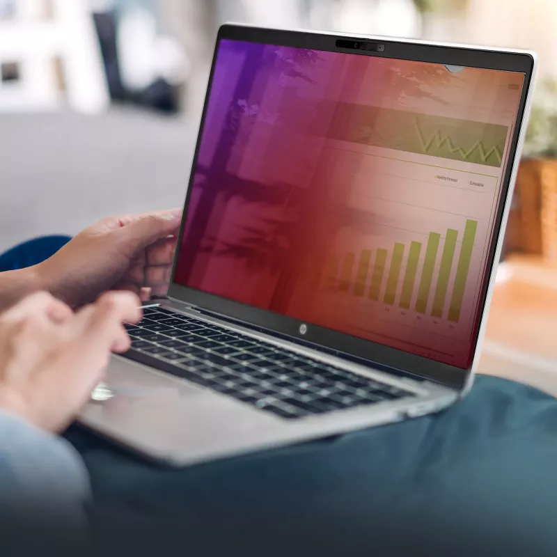 StarTech.com 35,6 cm (14 inch) 16:9 laptop privacyfolie, omkeerbaar goudfilter met verbeterde kijkbescherming, computer-beveiligingsfilter, verwijderbare schermbescherming, +/- 30°