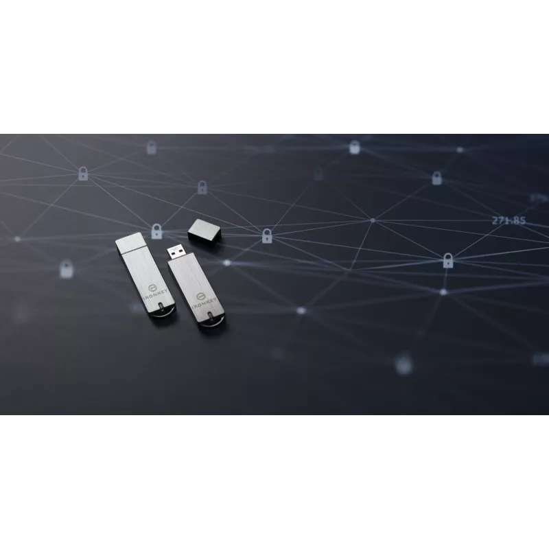 Kingston Technology IronKey 32 GB Basic S1000 versleutelde USB 3.0 FIPS 140-2 Level 3