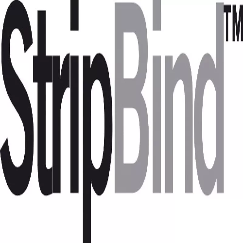 GBC SureBind® bindstrips A4 25 mm, wit, 250 vel, acrylonitril-butadieen-styreen (ABS), A4, 297 mm, 100 stuks