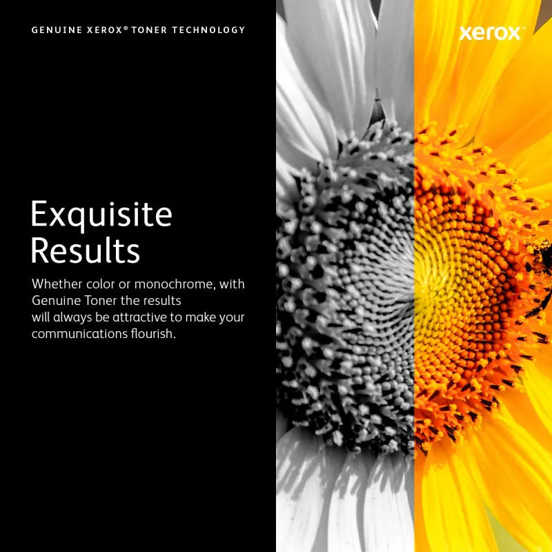 Xerox 106R02237 toner 1 stuk origineel cyaan