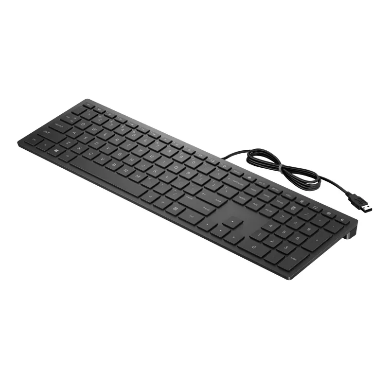 HP Pavilion bedraad toetsenbord 300, volledige grootte (100%), bedraad, USB, mechanisch, zwart