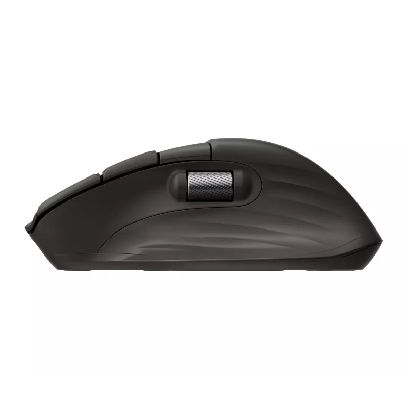 Bedrade optische muis HP B8YX3AA — compacte bedrade optische muis, 123,9 × 99,7 × 45,3 mm