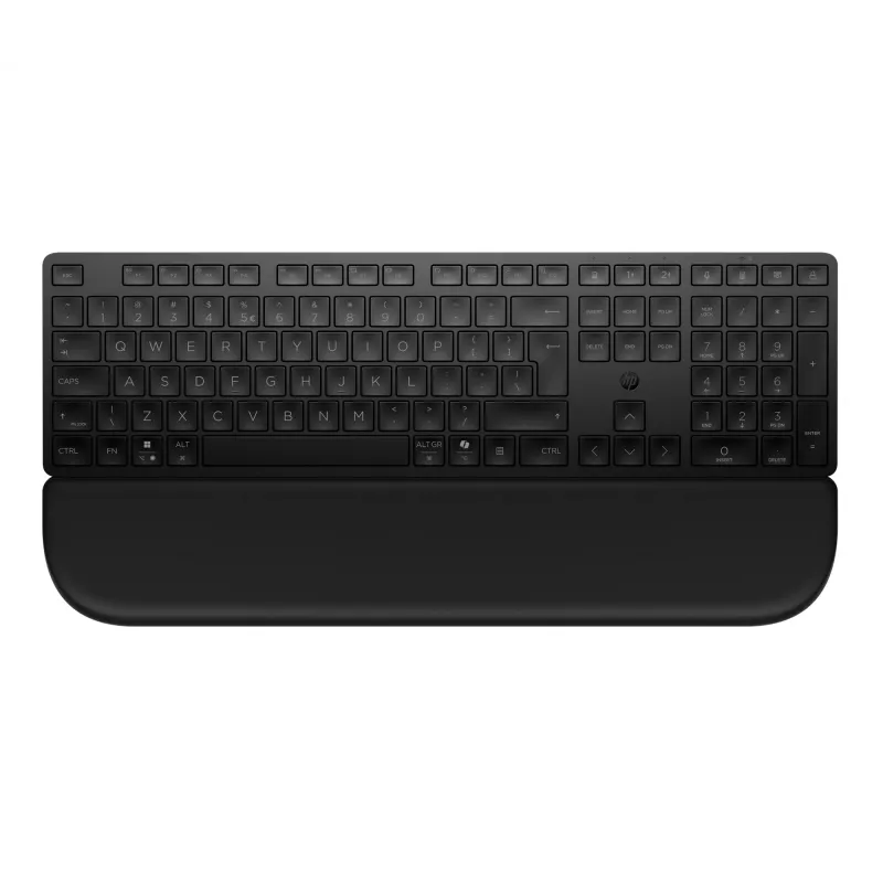 HP Multi-DevDual-ModeKBDwPlm EMEA-INTL E toetsenbord zwart