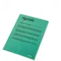 Esselte ordner 105my A4 doos à 100, A4, polypropyleen (PP), groen, staand, 220 mm, 1 mm