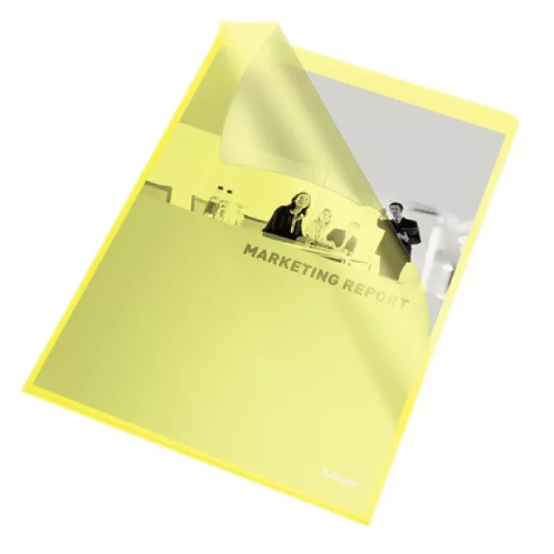 Esselte map 105my A4 doos van 100