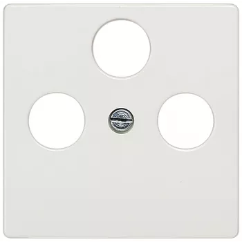 Siemens 5TG2548-2 wandplaat/schakelaarafdekking