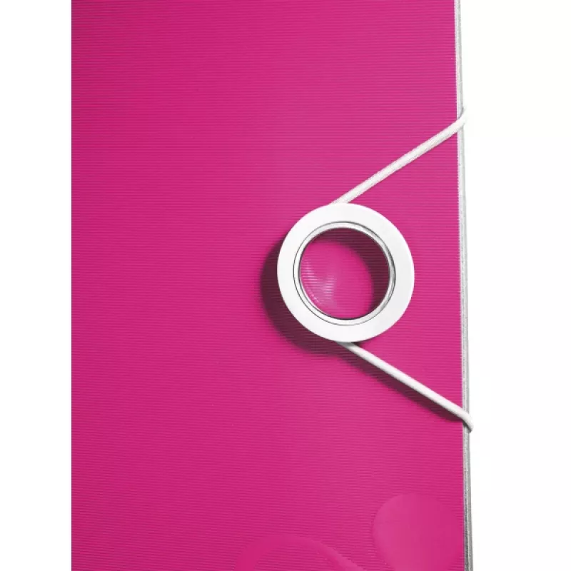 Leitz ordner Active PP WOW A4/65 mm, A4, polyfoam, roze, 350 blad, 80 g/m², 6,5 cm