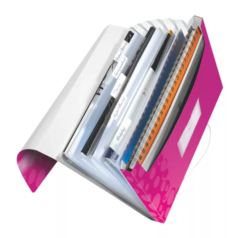 Leitz projectmap WOW PP, gewone ordner, A4, polypropyleen (PP), metallic, roze, 200 blad, 254 mm