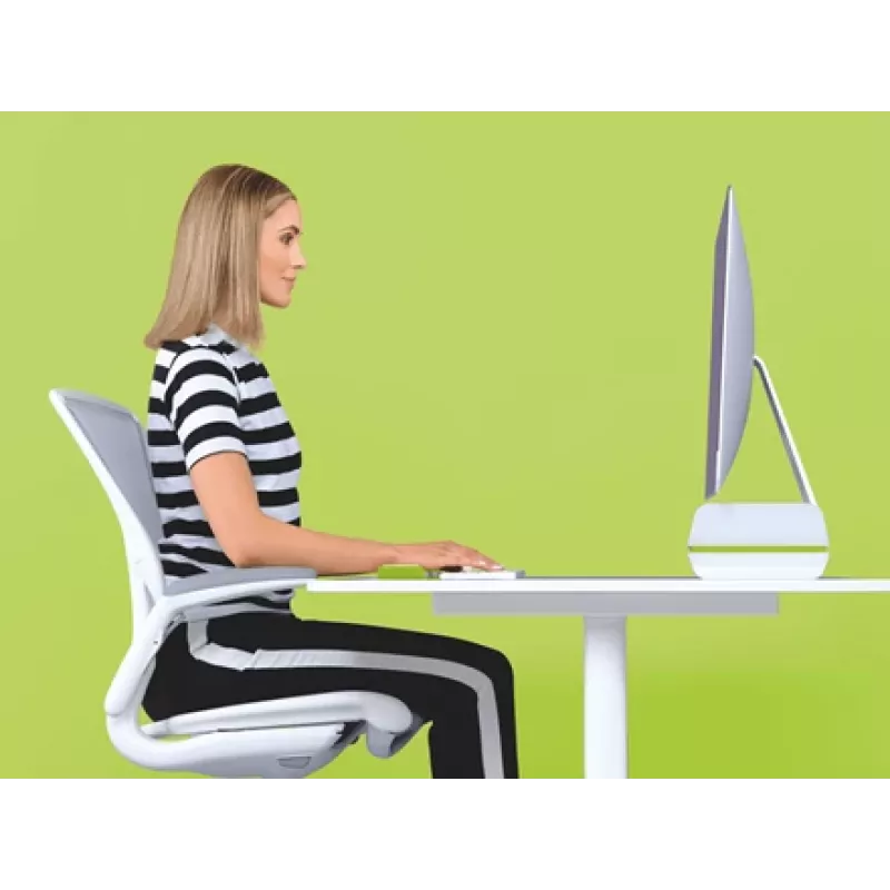 Leitz monitorstandaard verstelbaar Ergo WOW, 68,6 cm (27 inch), hoogteverstelling, groen, wit