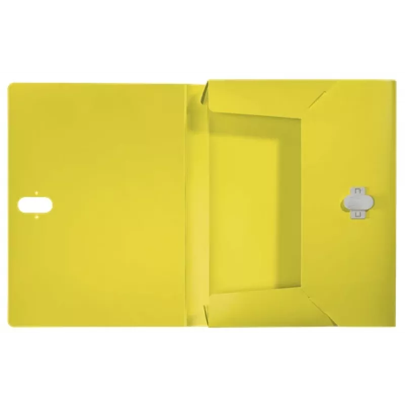 Leitz Recycle box file, conventionele archiefmap, A4, polypropyleen (PP), geel, liggend/staand, 250 vel