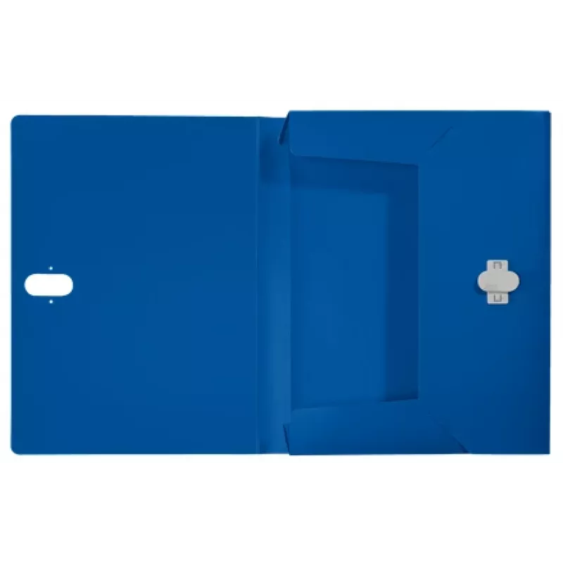 Leitz Recycle box file, conventionele archiefmap, A4, polypropyleen (PP), blauw, liggend/staand, 250 vel