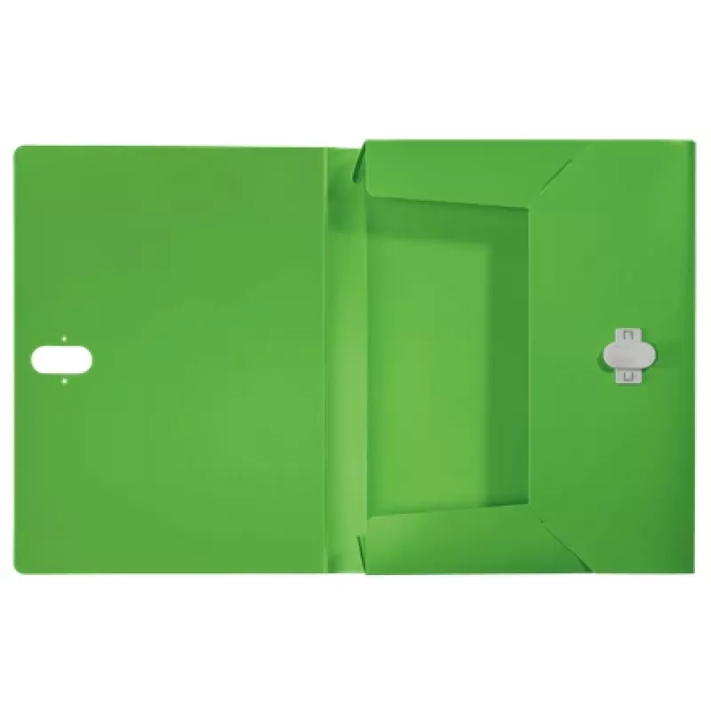 Leitz Recycle box file, conventionele archiefmap, A4, polypropyleen (PP), groen, liggend/staand, 250 vel
