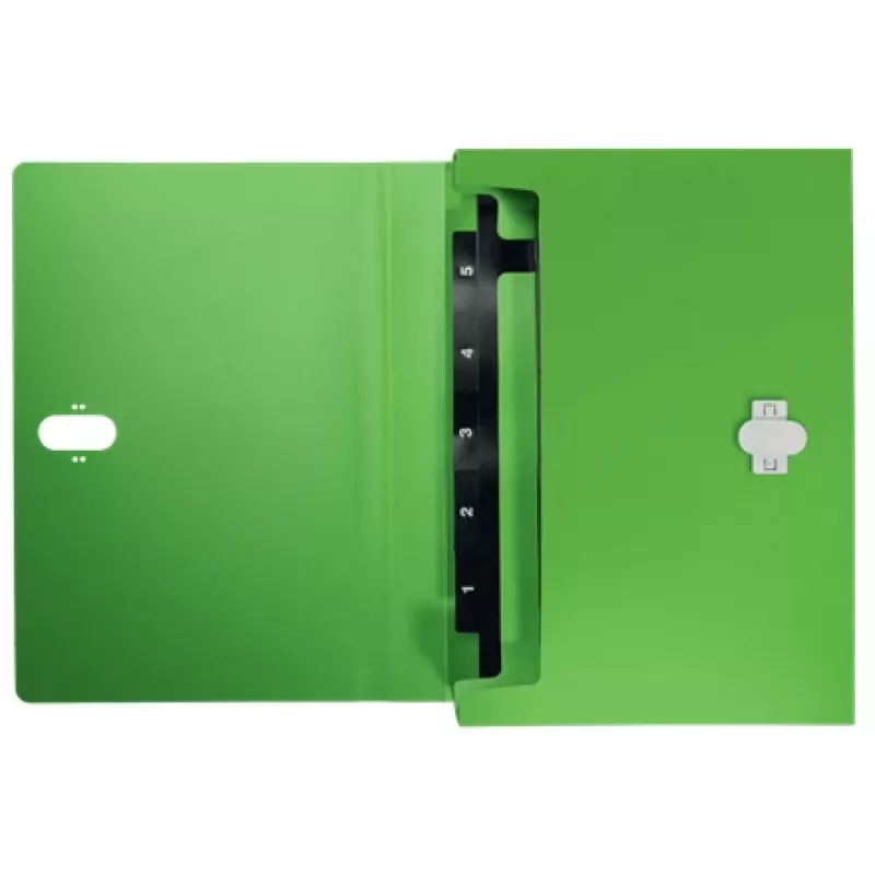 Leitz Recycle uitschuifbare harmonikamap, conventionele archiefmap, A4, polypropyleen (PP), groen, liggend, 250 vel