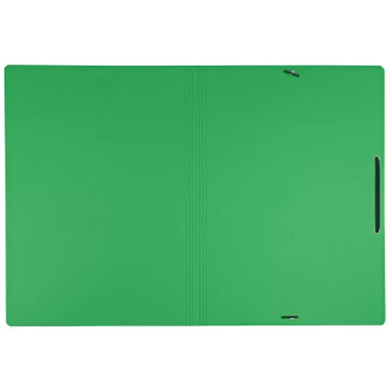 Leitz Recycle kartonnen map met elastieken, conventionele ordner, A4, karton, groen, staand/liggend, 250 blad