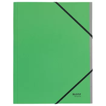 Leitz Recycle kaartjes-scheidingsboek, handtekeningsmap, A4, karton, groen, 430 g/m², elastiek