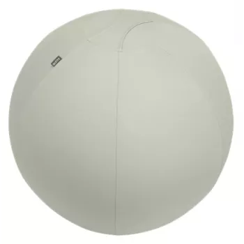 Leitz Ergo actieve zitbal met stopfunctie 65 cm, grijs, full-size, 150 kg, volwassenen, adult, TÜV