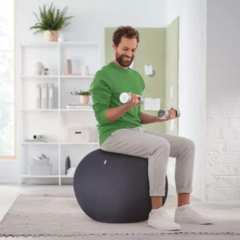 Leitz Ergo Active zitbal met stopfunctie 65 cm, grijs, full-size, 150 kg, TÜV, 65 cm, 2,87 kg