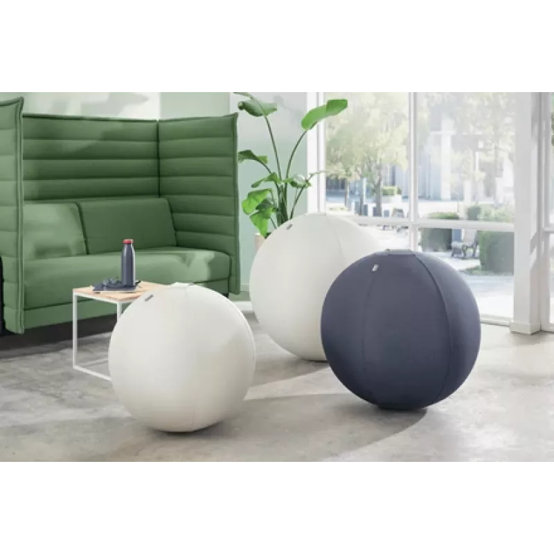 Leitz Ergo Active zitbal met stopfunctie 65 cm, grijs, full-size, 150 kg, TÜV, 65 cm, 2,87 kg