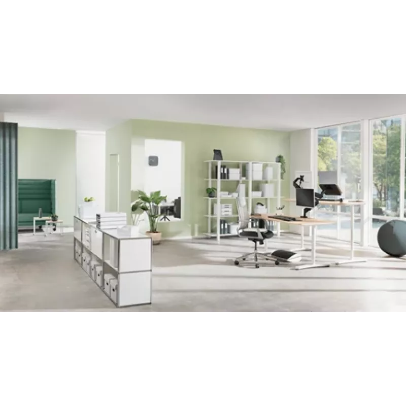 Leitz Ergo Active zitbal met stopfunctie 65 cm, grijs, full-size, 150 kg, TÜV, 65 cm, 2,87 kg