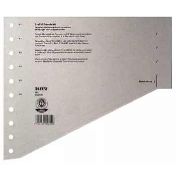 Leitz 16510085 registertabbladen blanco registertabbladen karton grijs