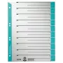 Leitz 16520030 tabindex numerieke tabindex karton blauw, grijs
