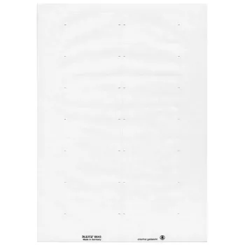 Leitz 66430001 zelfklevend etiket rechthoek wit