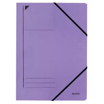 Leitz 39800065 ordner karton violet A4