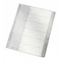 Leitz 12610085 tabindex numerieke tabindex polypropyleen (PP) grijs