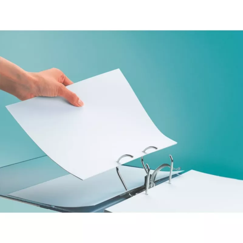 Leitz LEITZ standaard archiefmap A4 80 mm, met sleuven, karton (RC), rugbreedte 80 mm (1080-50-25)
