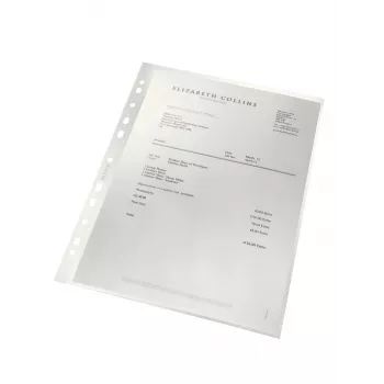 Leitz Recycle A4-insteekhoes, 210 x 297 mm (A4), transparant, polypropyleen (PP), staand, 80 g/m², 0,1 mm