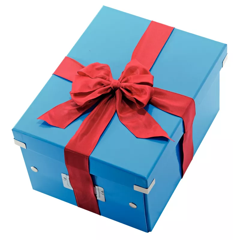 Leitz Click & Store WOW medium opbergbox, blauw, karton, 16,7 L, 281 mm, 200 mm, 265 x 335 x 188 mm