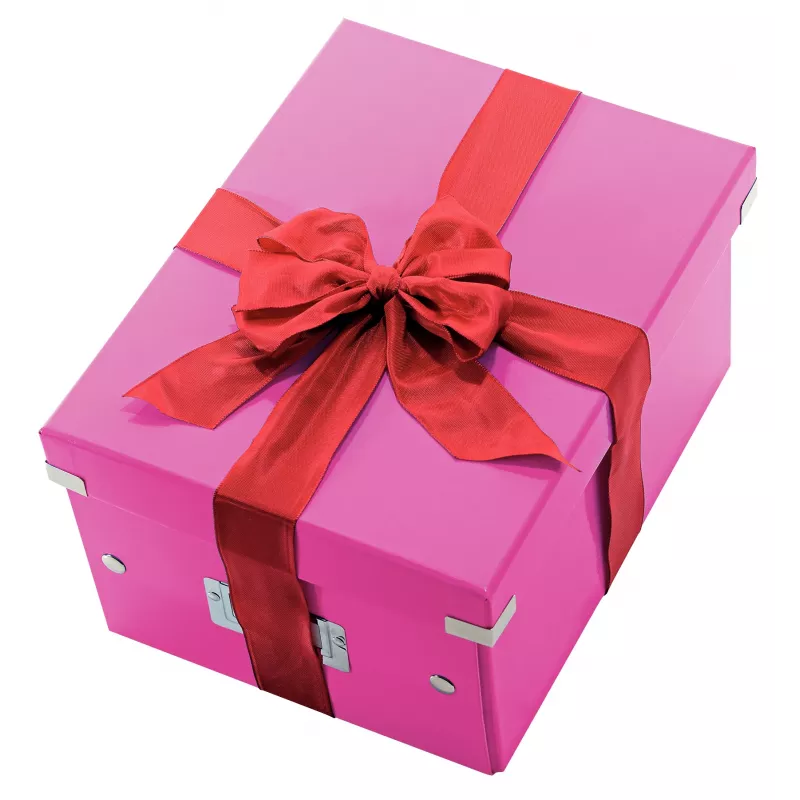 Leitz Click & Store WOW medium opbergbox, roze, karton, 16,7 L, 281 mm, 200 mm, 265 x 335 x 188 mm