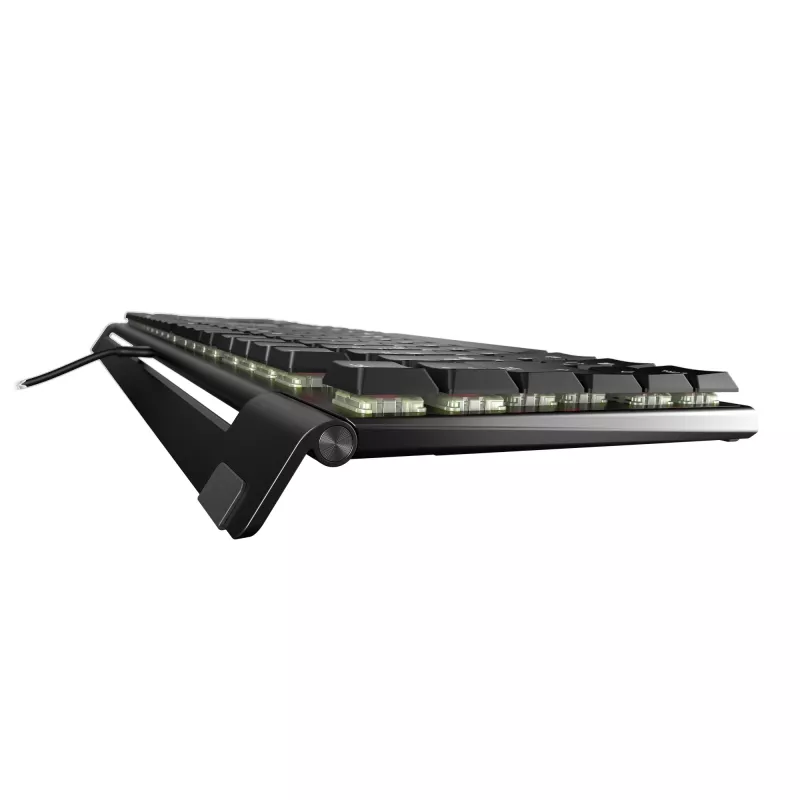 CHERRY MX 10.0N toetsenbord universeel USB QWERTY Nordisch zwart