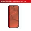 Displex displayschermfolie + hoes voor Google Pixel 10 Pro XL, Eco-montageframe, krasvast