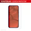Tempered Glass screenprotector met hoes voor Google Pixel 10 van e.v.i. (DISPLEX echt glas + hoes)