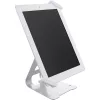 InLine universele tablet-beveiligingsstandaard, voor 10 inch-13 inch, met kabelslot met sleutel