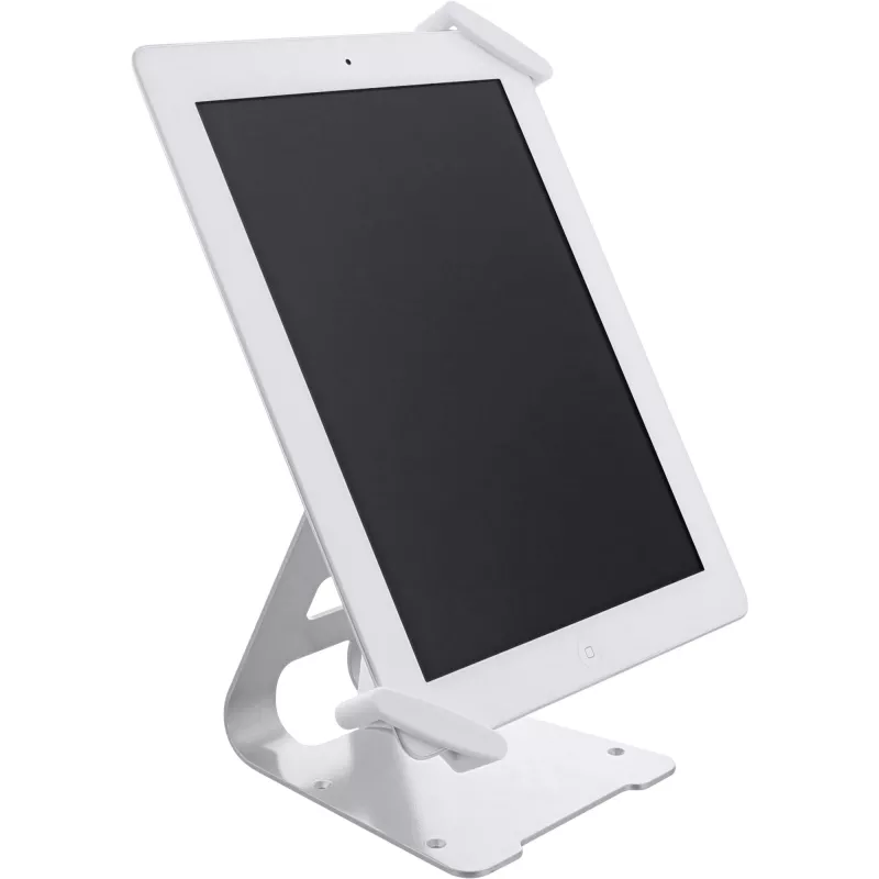 InLine universele tablet-beveiligingsstandaard, voor 10 inch-13 inch, met kabelslot met sleutel